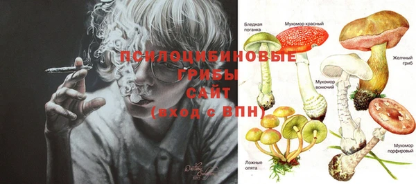 PSILOCYBIN Алексин