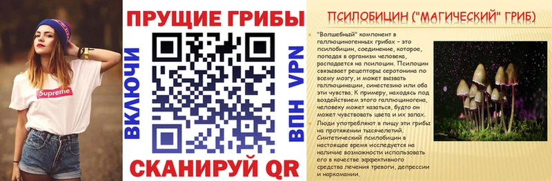 мориарти Telegram  МЕГА как войти  Евпатория  Псилоцибиновые грибы мухоморы 